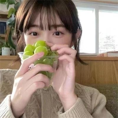 晴晚之林